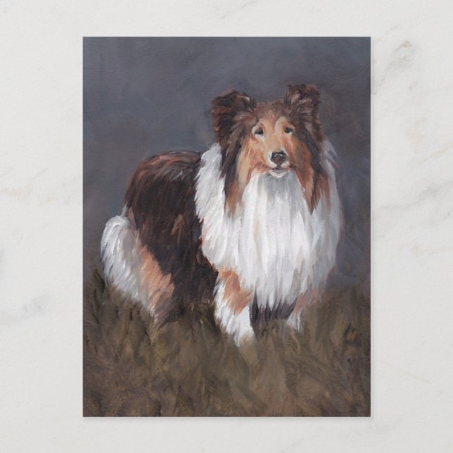 Shetland Sheepdog Dog Art Post Card (Front)