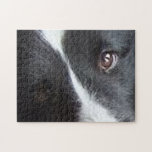 Shetland Sheepdog Eyes Jigsaw Puzzle