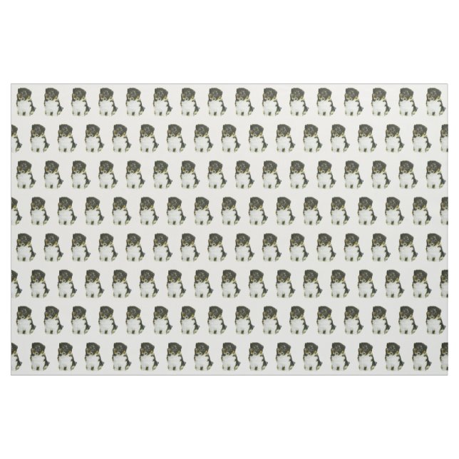 Shetland Sheepdog Fabric (Yard)