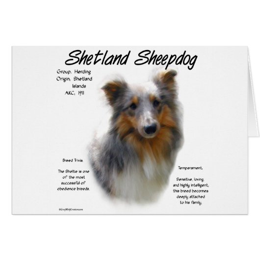 Shetland Sheepdog History Design (Front Horizontal)