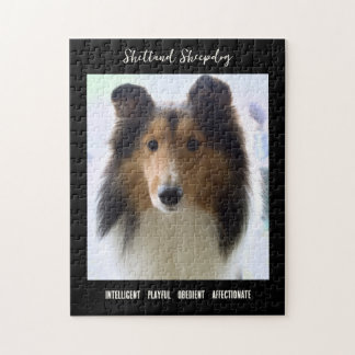 Shetland Sheepdog Photo Dog Breed Jigsaw Puzzle