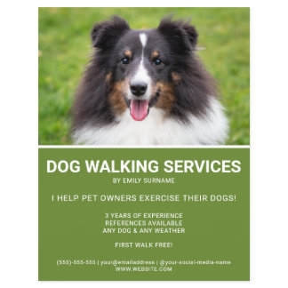 Shetland Sheepdog Photo Green Dog Walker Template Flyer