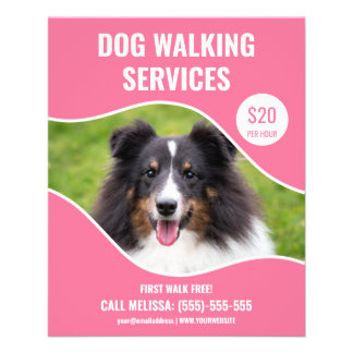 Shetland Sheepdog Photo - Pink Dog Walking Service Flyer