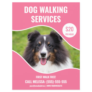 Shetland Sheepdog Photo - Pink Dog Walking Service Flyer