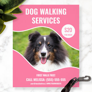Shetland Sheepdog Photo - Pink Dog Walking Service Flyer