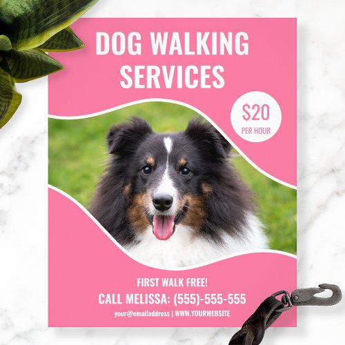 Shetland Sheepdog Photo _ Pink Dog Walking Service Flyer