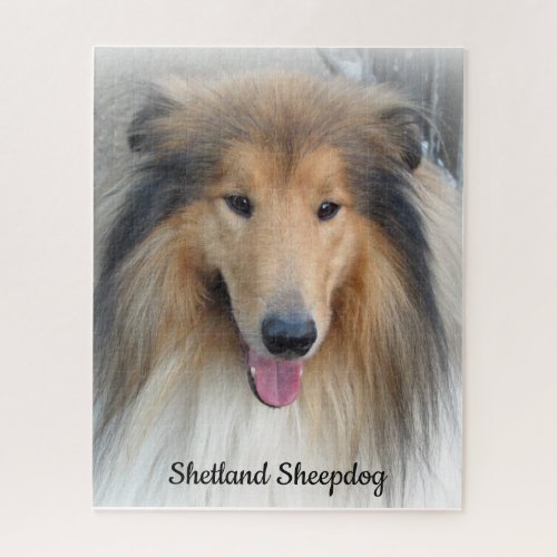 Shetland Sheepdog Portrait Jigsaw Puzzle