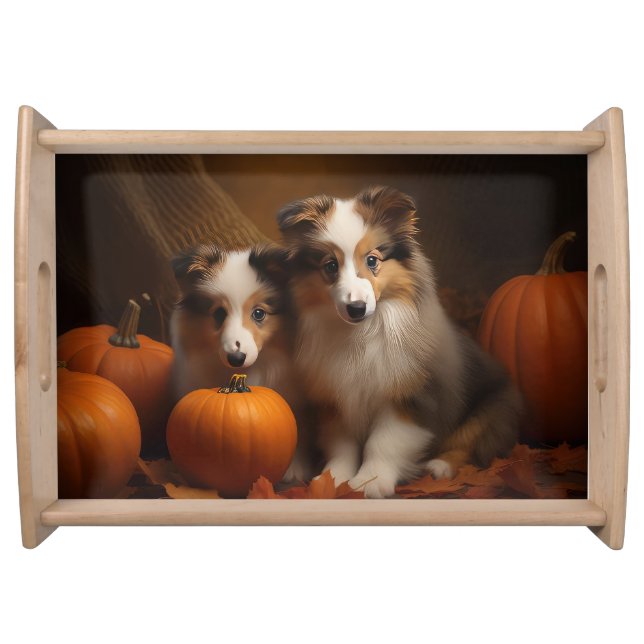 Shetland Sheepdog Puppy Autumn Delight Pumpkin  Serving Tray (Front)