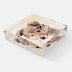 Shetland Sheepdog Puppy Painting Original Dog Art Paperweight