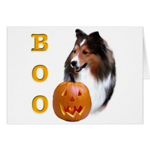 Shetland Sheepdog sable Boo