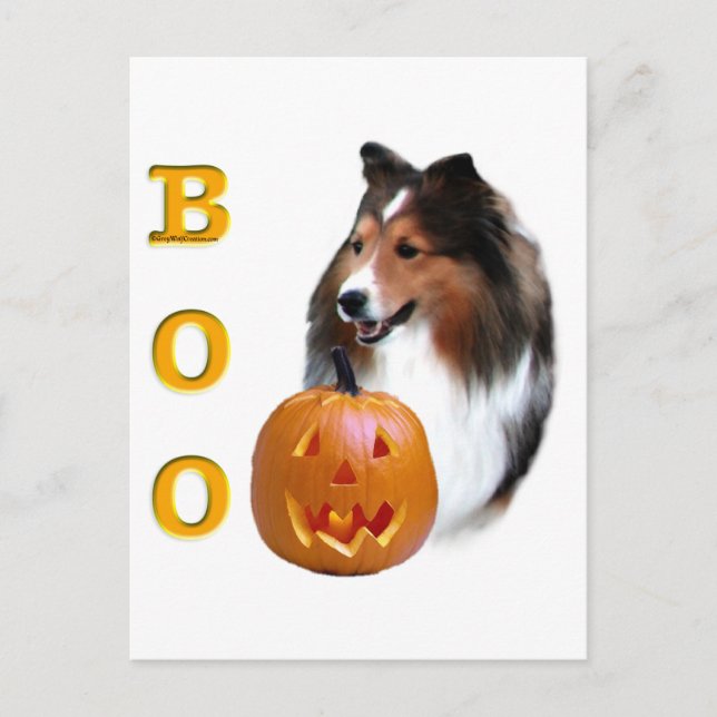 Shetland Sheepdog (sable) Boo Postcard (Front)