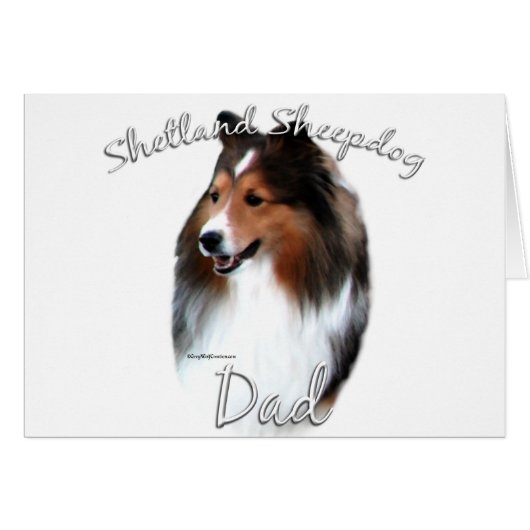 Shetland Sheepdog (sable) Dad 2 (Front Horizontal)