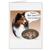 Shetland Sheepdog (sable) Turkey (Front)