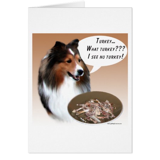 Shetland Sheepdog (sable) Turkey Cards (Front)