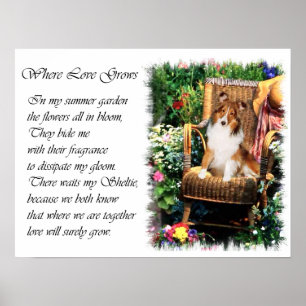 Shetland Sheepdog Sheltie Art Gifts Poster