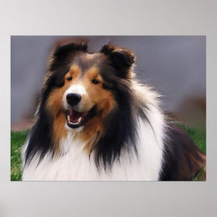Shetland Sheepdog Sheltie Art Gifts Poster