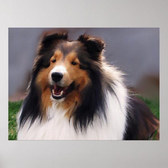 Shetland Sheepdog Sheltie Art Gifts Poster (Front)