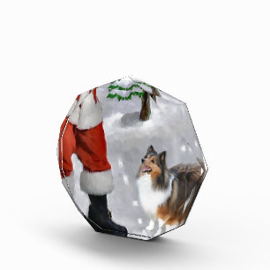 Shetland Sheepdog Sheltie Christmas Acrylic Award