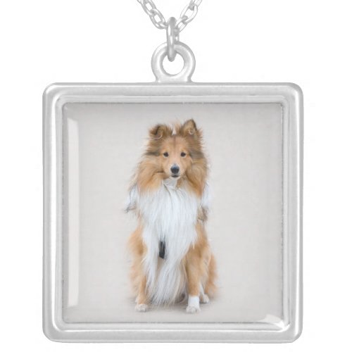 Shetland Sheepdog sheltie cute dog photo portrait Silver Plated Necklace