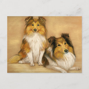 Shetland Sheepdog Sheltie Dog Art Postcard