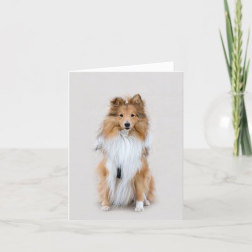 Shetland Sheepdog sheltie dog blank card