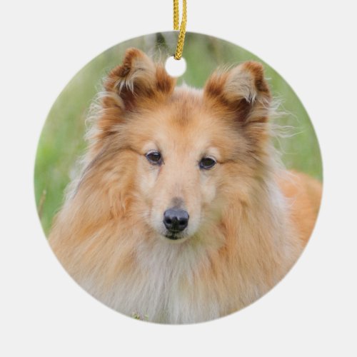 Shetland Sheepdog _ Sheltie Dog Ceramic Ornament