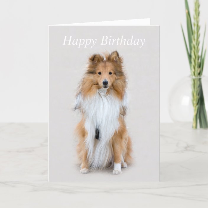 happy birthday sheepdog