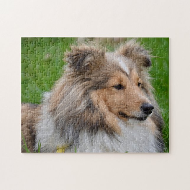 Shetland Sheepdog - Sheltie Dog Jigsaw Puzzle (Horizontal)