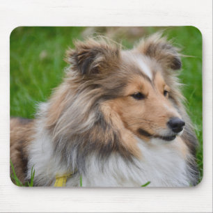 Shetland Sheepdog - Sheltie Dog Mouse Pad