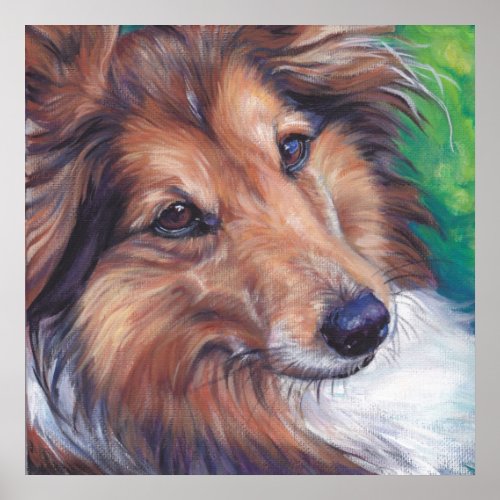 Shetland sheepdog Sheltie Fine Art Print