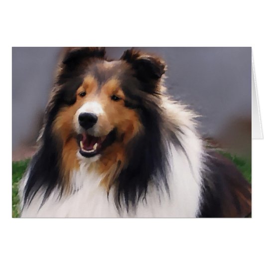 Shetland Sheepdog Sheltie Gifts (Front Horizontal)
