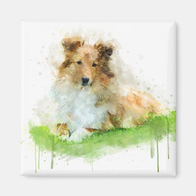 Shetland Sheepdog / sheltie Magnet (Front)