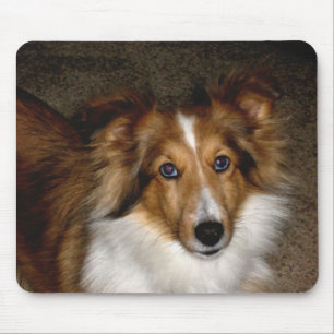 Shetland Sheepdog ~ Sheltie Mousepad