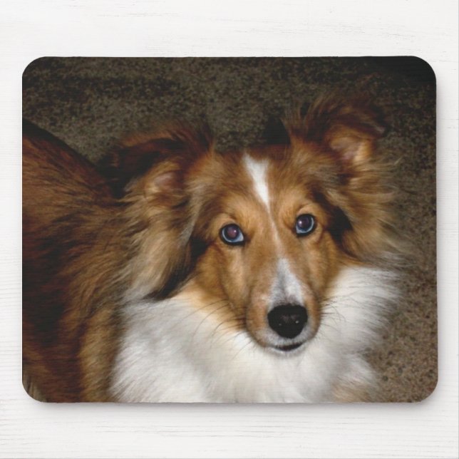 Shetland Sheepdog ~ Sheltie Mousepad (Front)