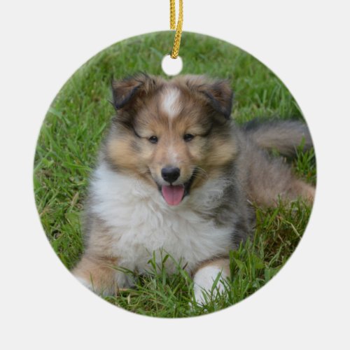 Shetland Sheepdog _ Sheltie Puppy Dog Ceramic Ornament