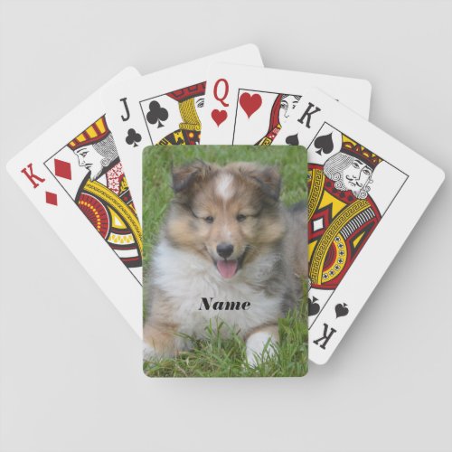 Shetland Sheepdog _ Sheltie Puppy Dog Playing Cards