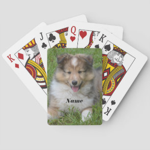 Shetland Sheepdog - Sheltie Puppy Dog Poker Cards
