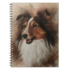 Shetland Sheepdog Sheltie smiling
