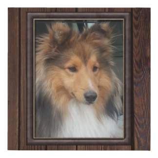 Shetland Sheepdog Sissi Faux Canvas Print