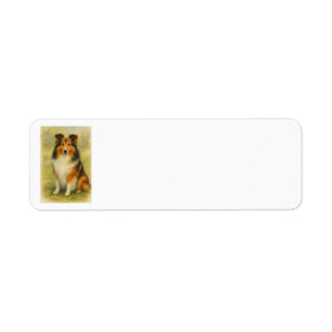 Shetland Sheepdog Sitting Watercolor  Label