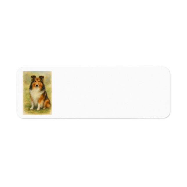 Shetland Sheepdog Sitting Watercolor  Label (Front)