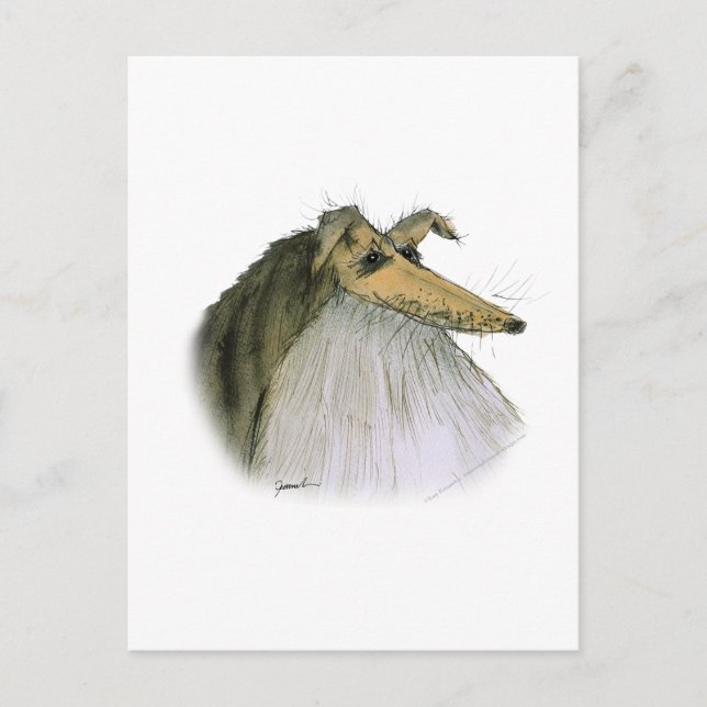 Shetland Sheepdog, tony fernandes Postcard (Front)