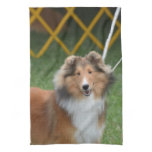 Shetland Sheepdog Towel