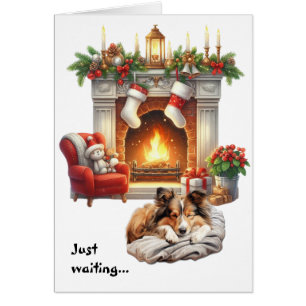 Shetland Sheepdog Waiting for Christmas Cards