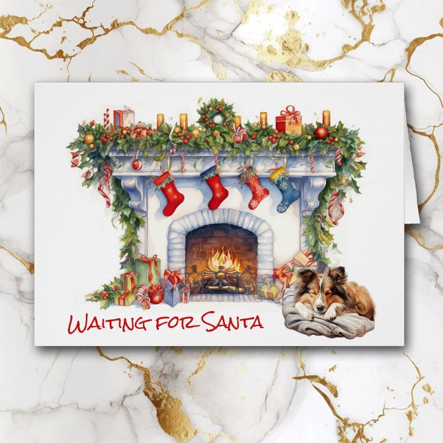 Shetland Sheepdog Waiting for Santa Cards (Creator Uploaded)