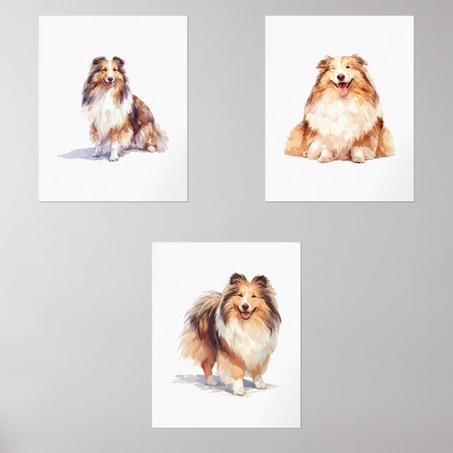 Shetland Sheepdog Wall Art, Sheltie Puppy Art Sets (Front)