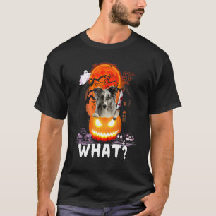 Shetland Sheepdog What  Shetland Sheepdog With Kni T-Shirt