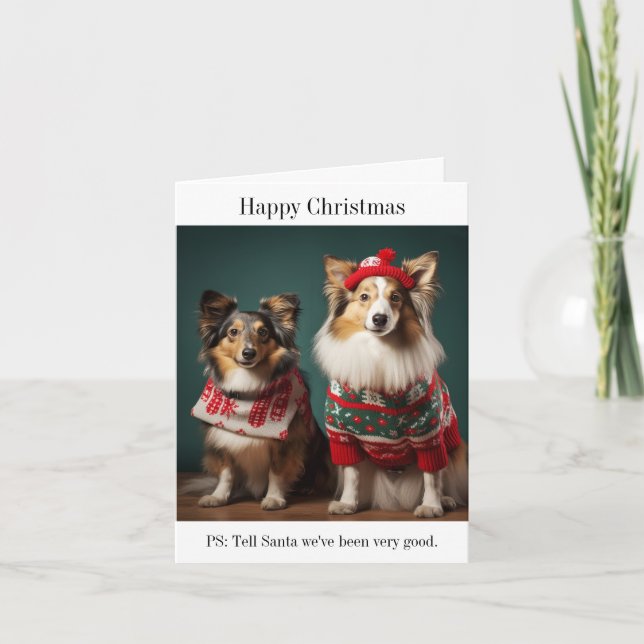 Shetland Sheepdogs Happy Christmas Card (Front)