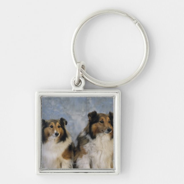 Shetland Sheepdogs Keychain (Front)