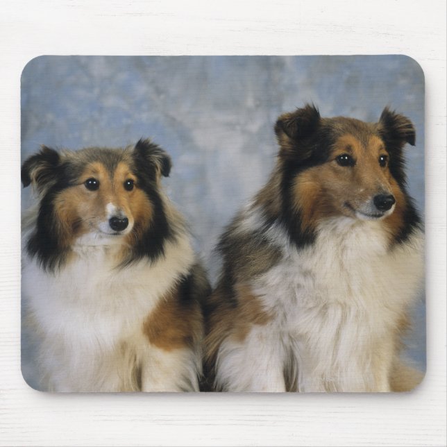Shetland Sheepdogs Mouse Pad (Front)